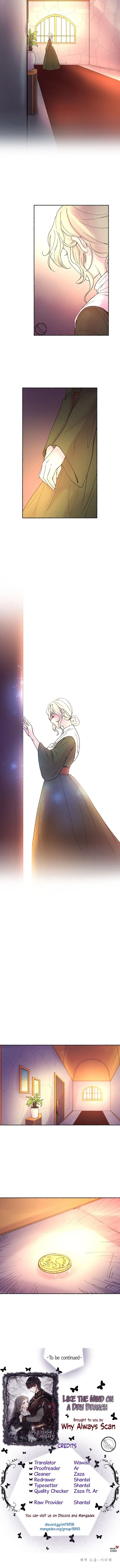 Like A Wind On A Dry Branch Chapter 8 page 15
