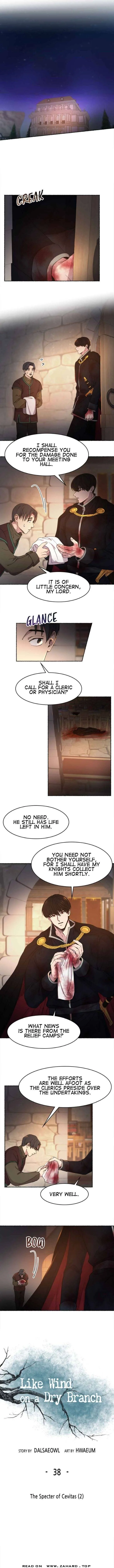 Like A Wind On A Dry Branch Chapter 38 page 2