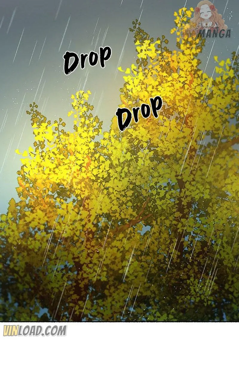 Like A Wind On A Dry Branch Chapter 65 page 3