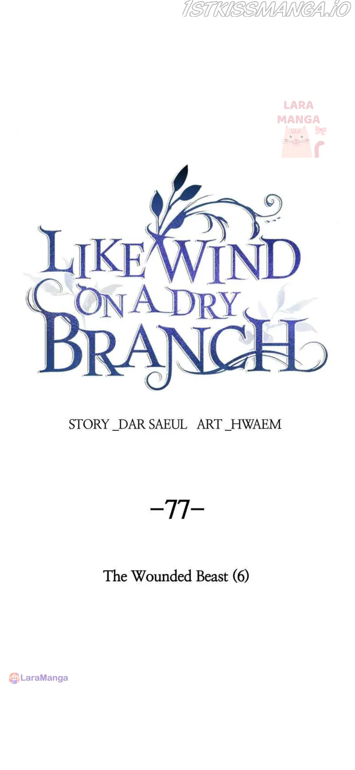 Like A Wind On A Dry Branch Chapter 77 page 64
