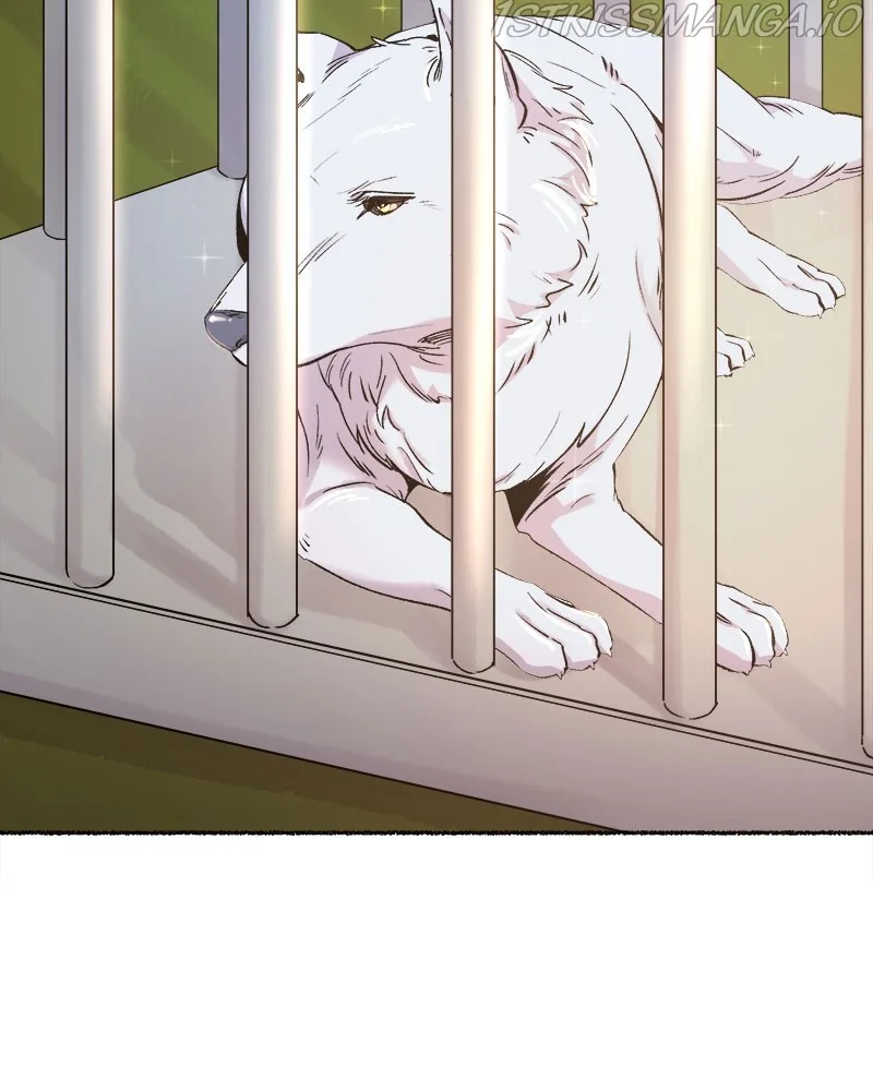 Like A Wind On A Dry Branch Chapter 82 page 84