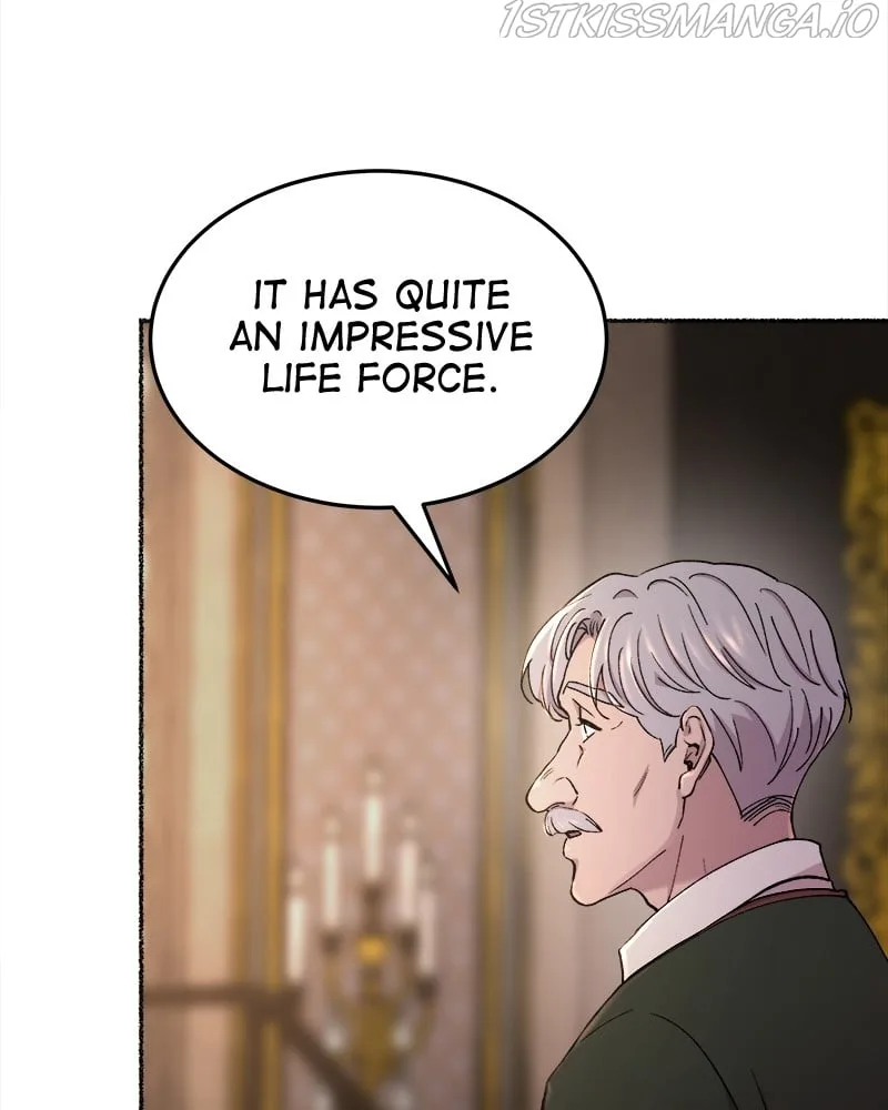 Like A Wind On A Dry Branch Chapter 94 page 111