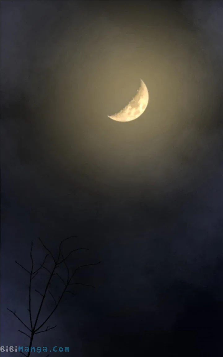 Like A Wind On A Dry Branch Chapter 157 page 86
