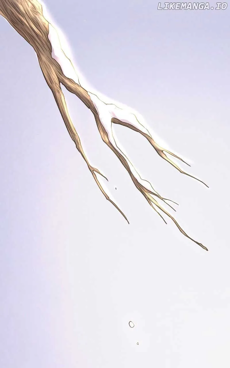 Like A Wind On A Dry Branch Chapter 166 page 117