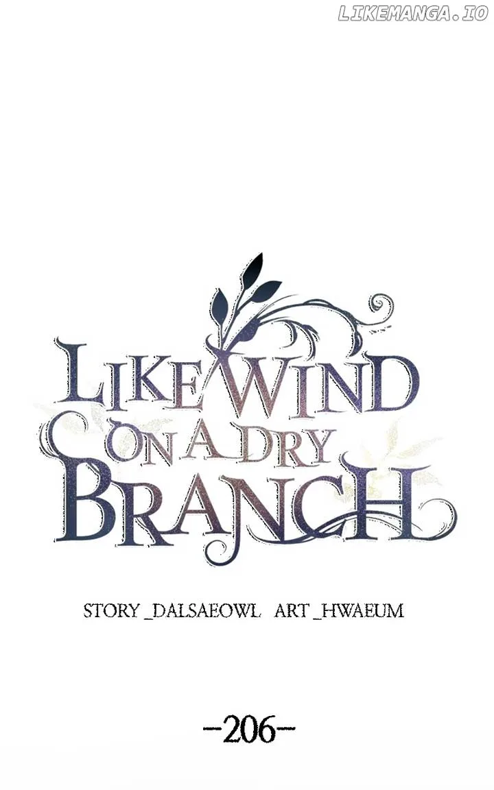 Like A Wind On A Dry Branch Chapter 206 page 11
