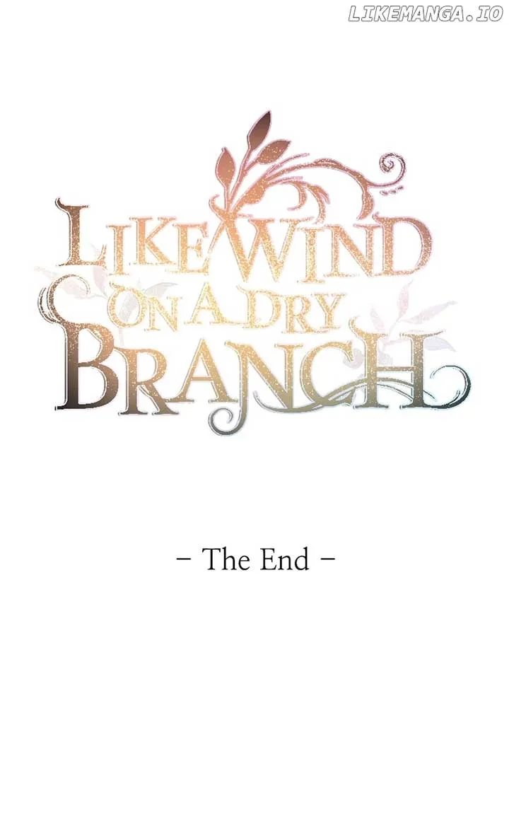 Like A Wind On A Dry Branch Chapter 211 page 146