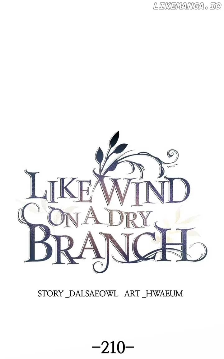 Like A Wind On A Dry Branch Chapter 210 page 2
