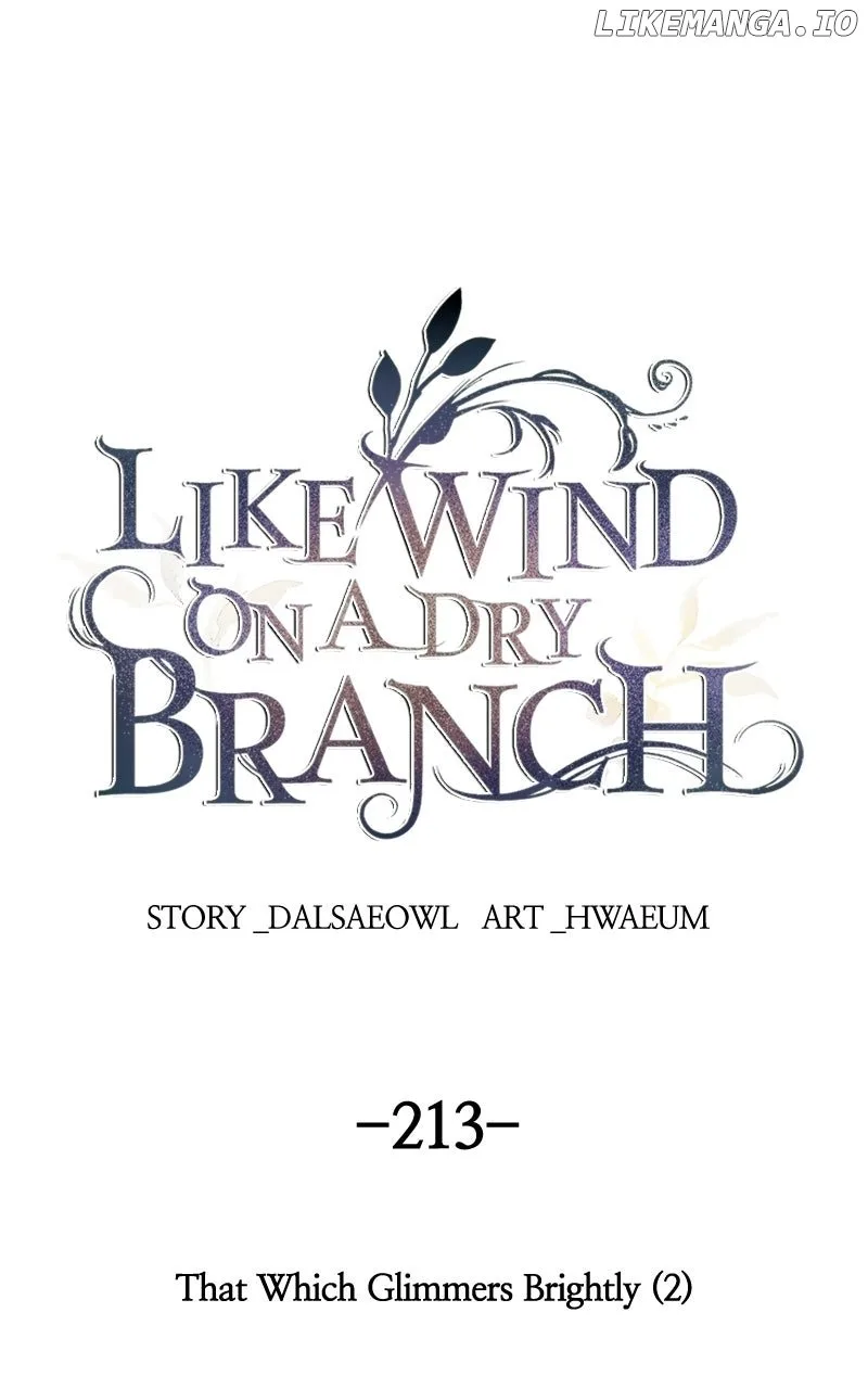 Like A Wind On A Dry Branch Chapter 213 page 2