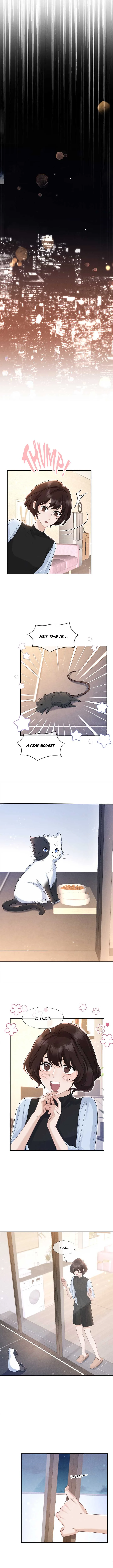 Link Click Chapter 14 page 9