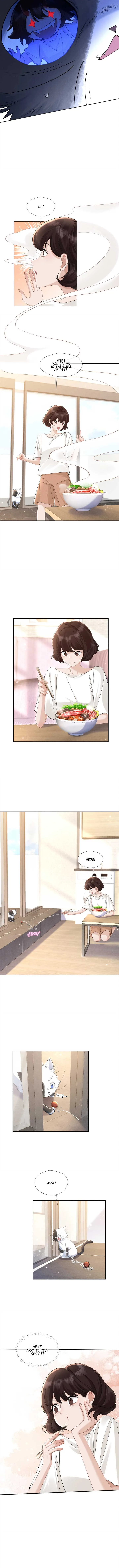 Link Click Chapter 14 page 3