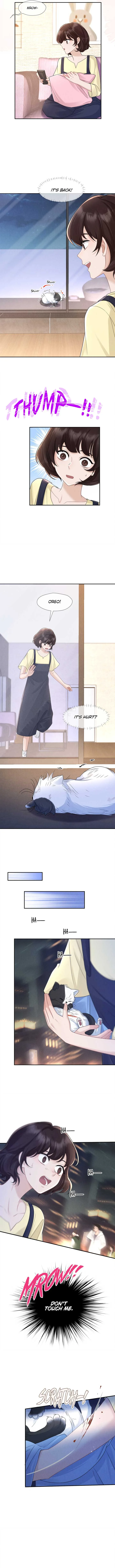 Link Click Chapter 14 page 7