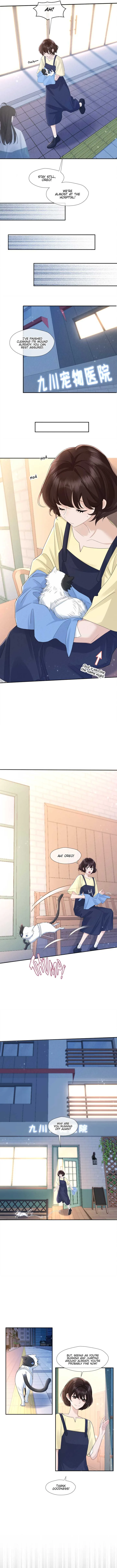 Link Click Chapter 14 page 8