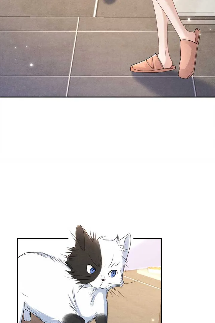 Link Click Chapter 15 page 13