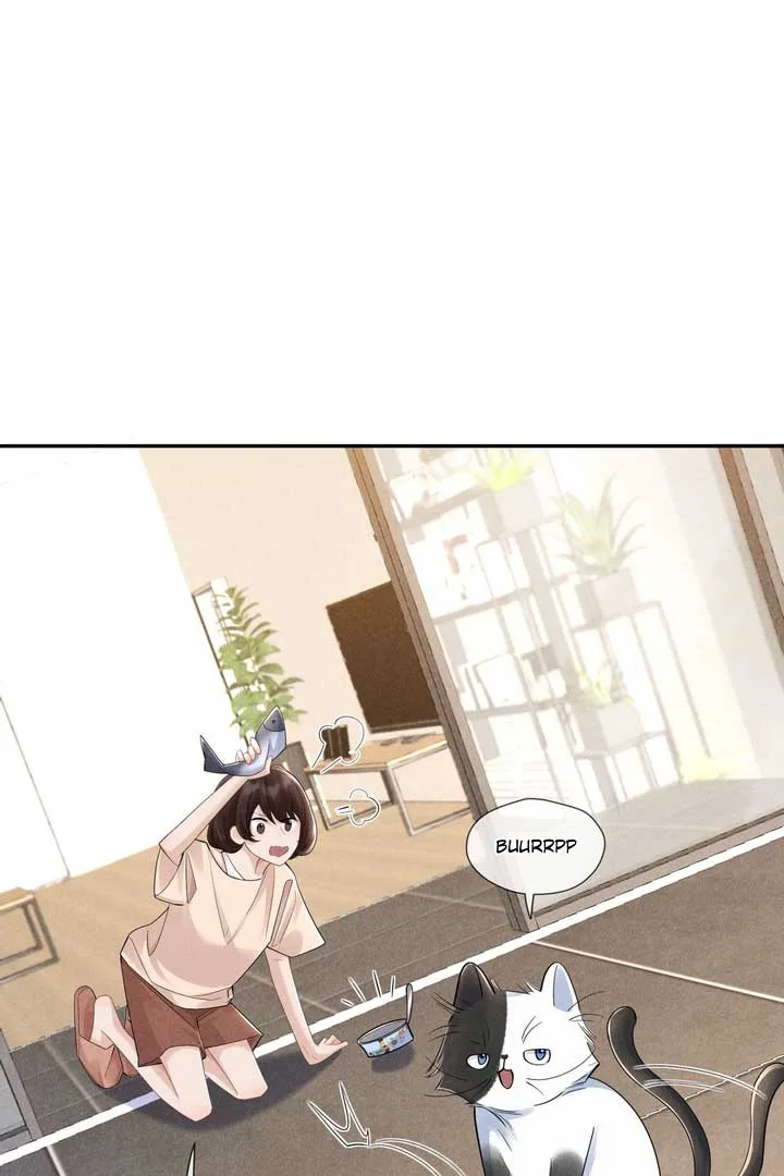 Link Click Chapter 15 page 19