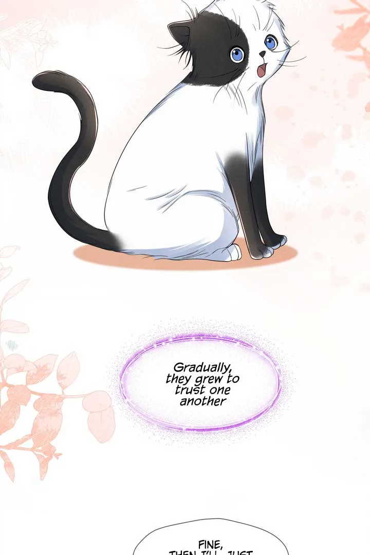 Link Click Chapter 15 page 16