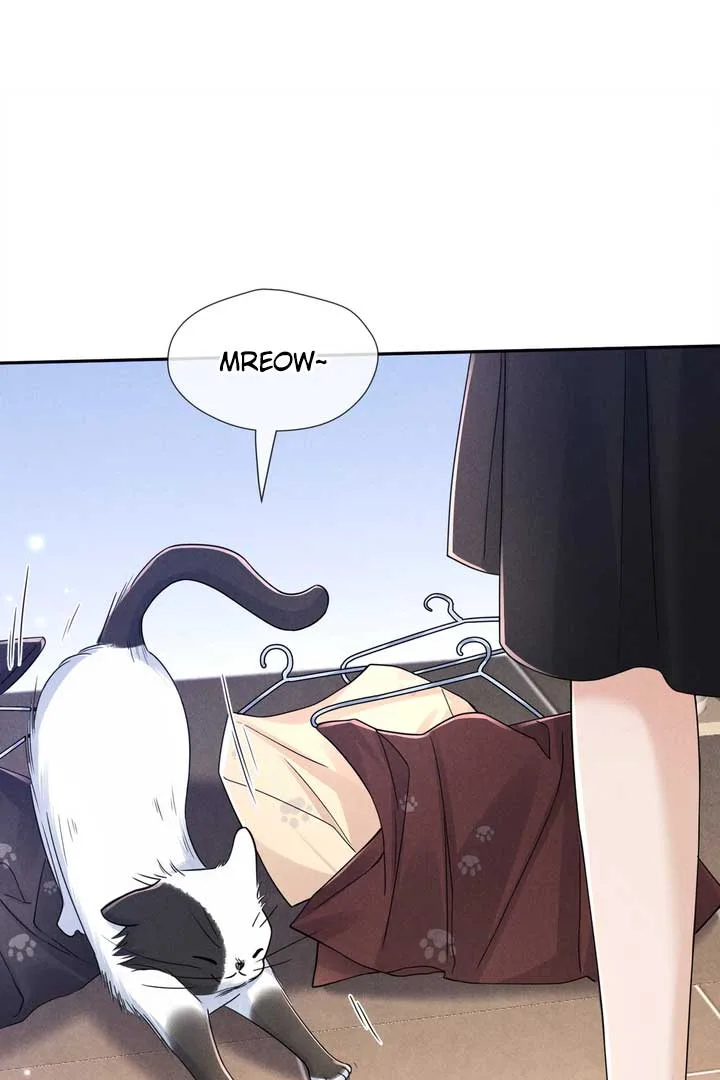 Link Click Chapter 15 page 34