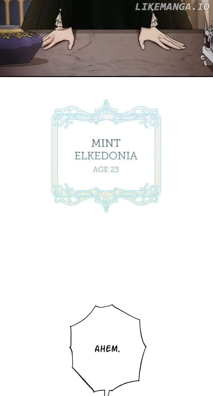 Little Princess Mint Chapter 94 page 14