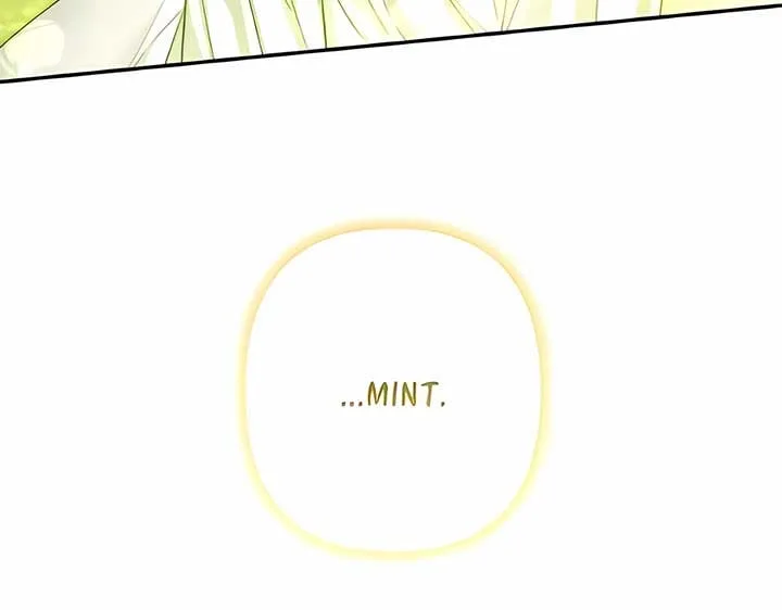 Little Princess Mint Chapter 115 page 242