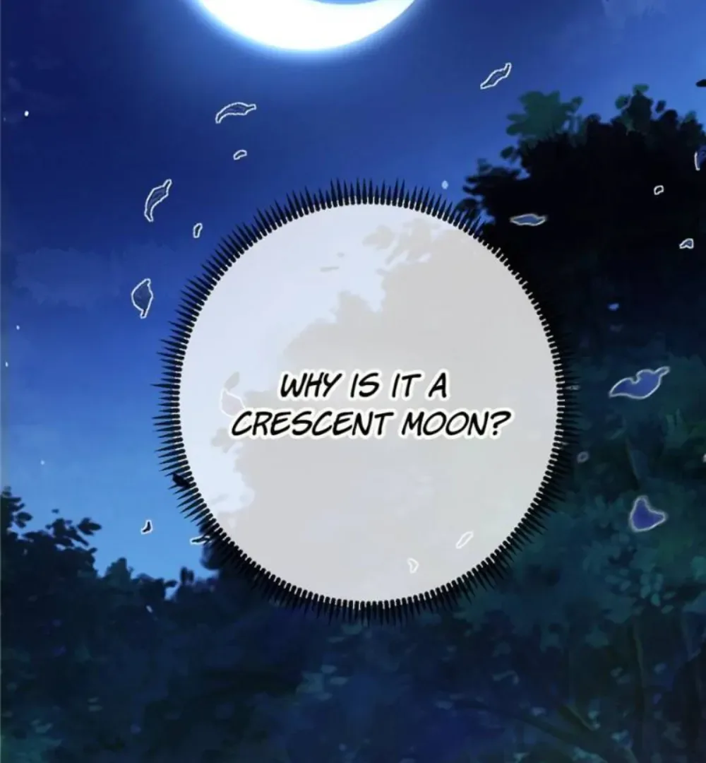 Love Under the Full Moon Chapter 1 page 47