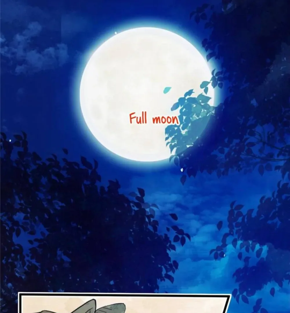Love Under the Full Moon Chapter 4 page 72