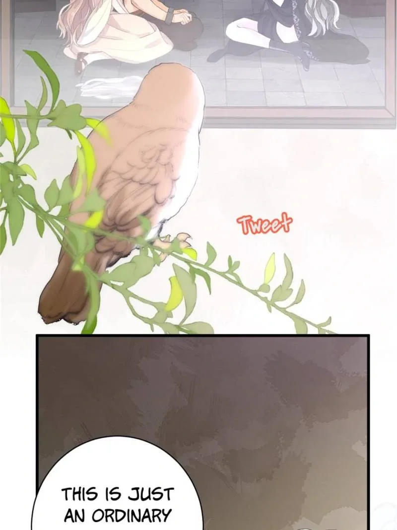 Love Under the Full Moon Chapter 17 page 4