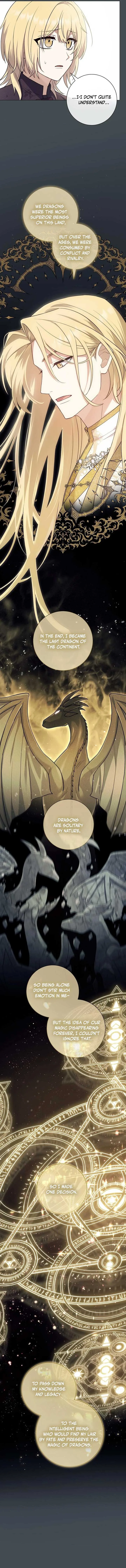Magic Lord Chapter 5 page 5