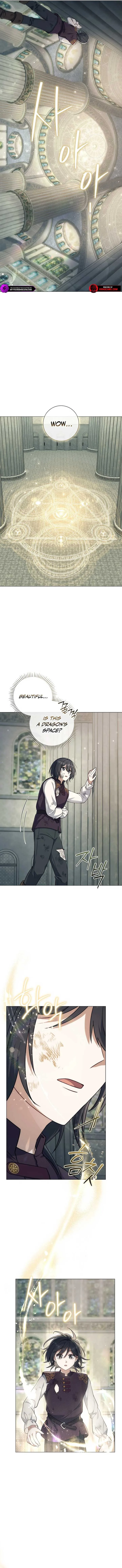 Magic Lord Chapter 4 page 10