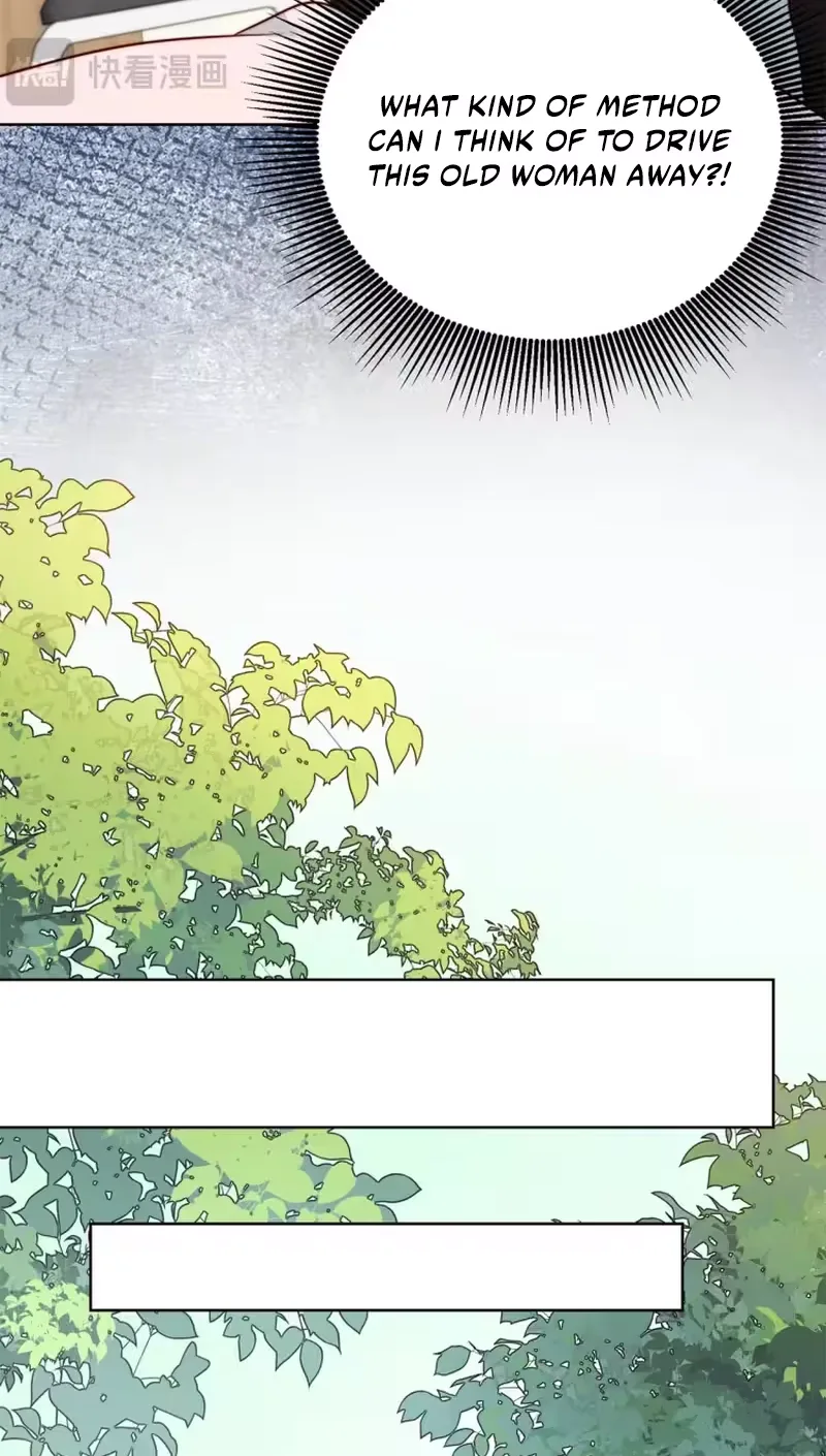 The Substitute Bride And The Overly affectionate Husband Chapter 96 page 31