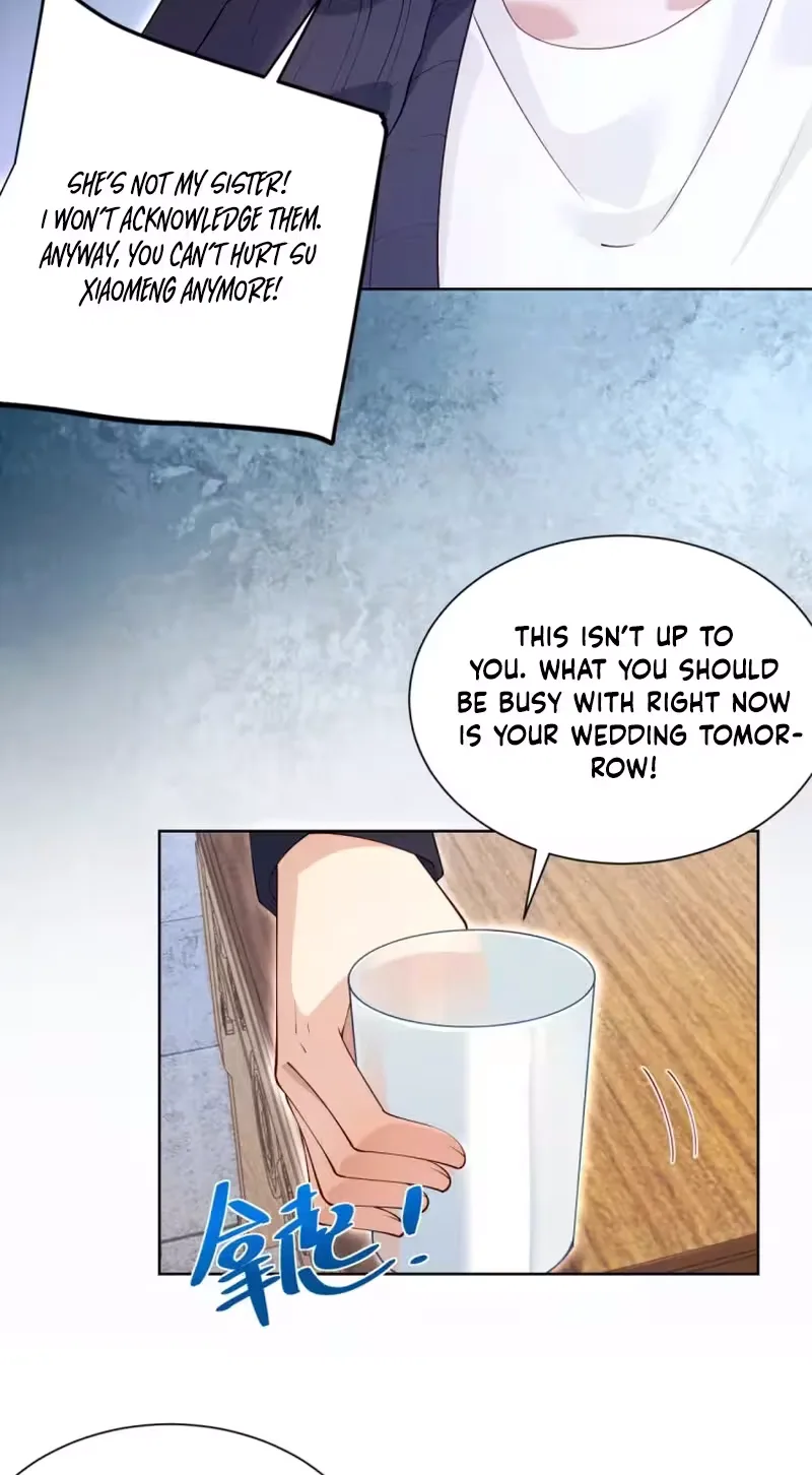 The Substitute Bride And The Overly affectionate Husband Chapter 96 page 41