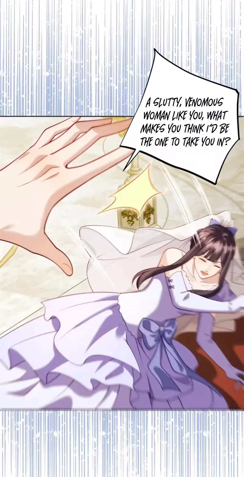 The Substitute Bride And The Overly affectionate Husband Chapter 97 page 29