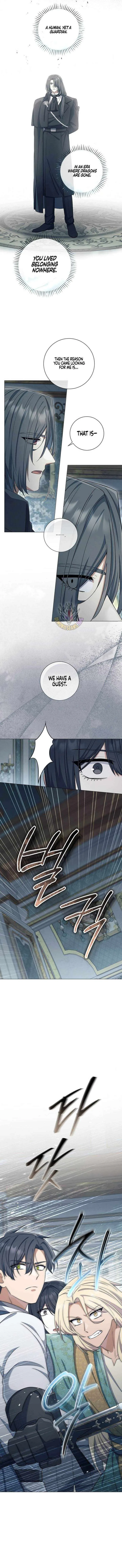 Magic Lord Chapter 46 page 9