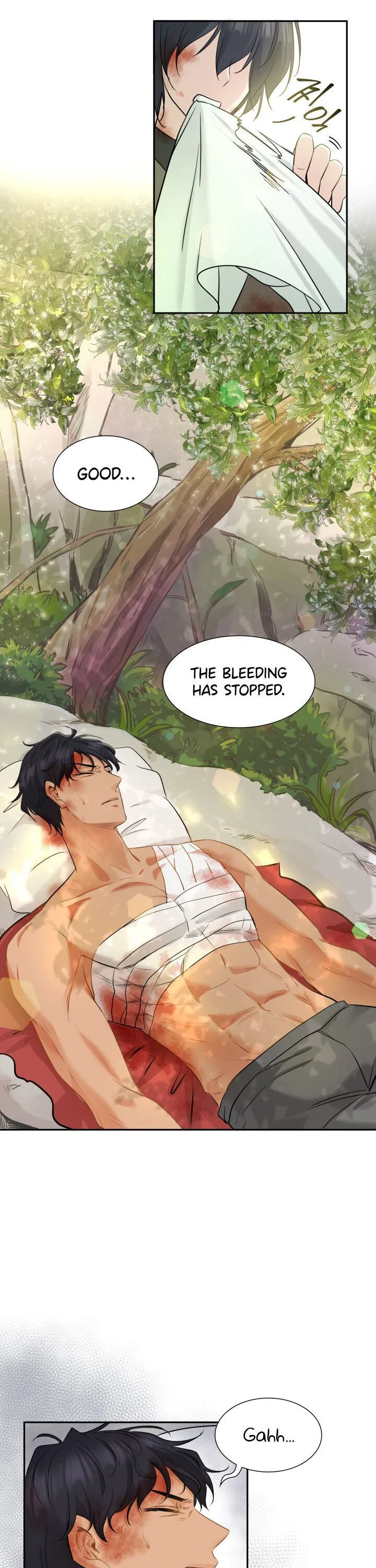 Marriage and Sword Chapter 2 page 15