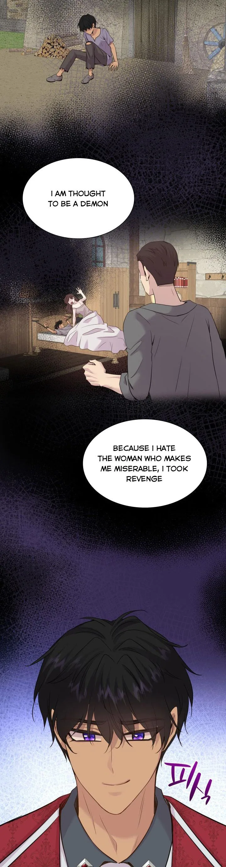 Marriage and Sword Chapter 60.5 page 11