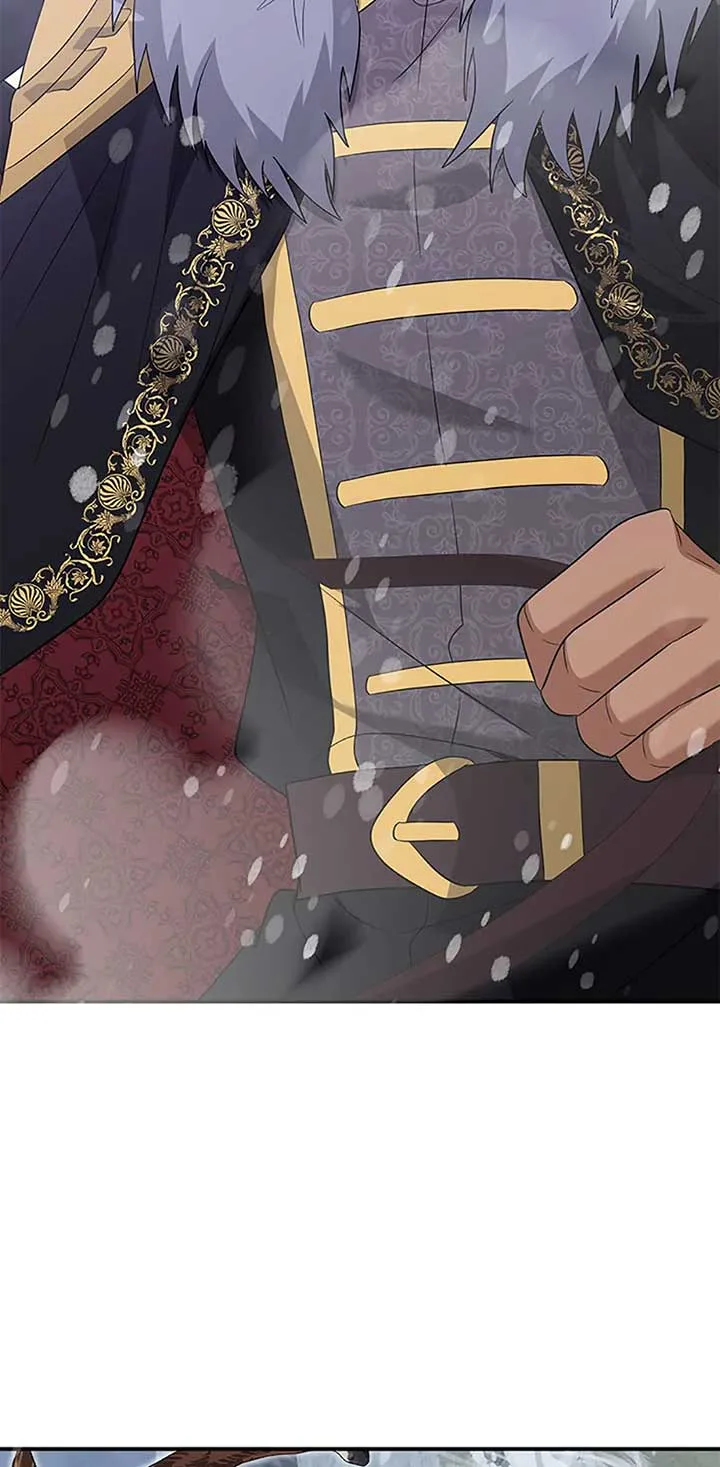 Marriage and Sword Chapter 109 page 74