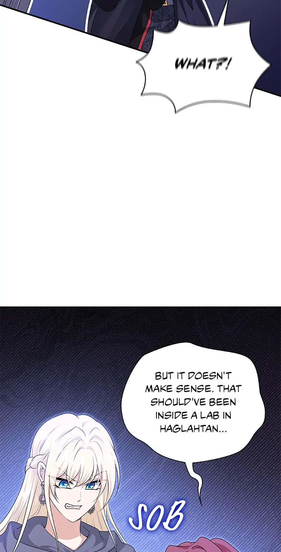 Marriage and Sword Chapter 119 page 15