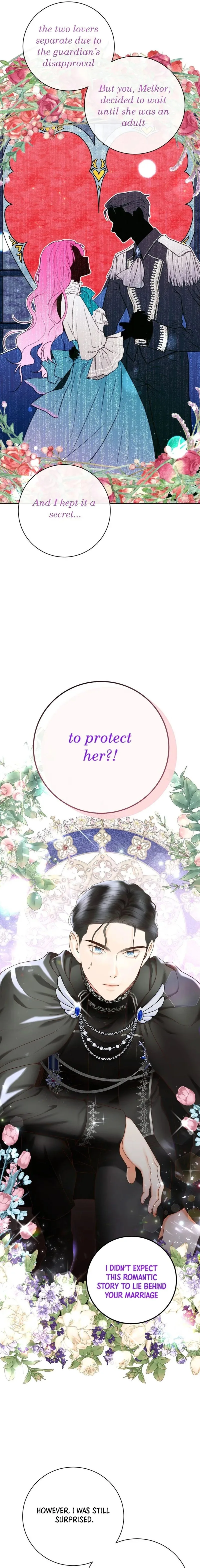 Marriage Contract With Two Husbands Chapter 3 page 17