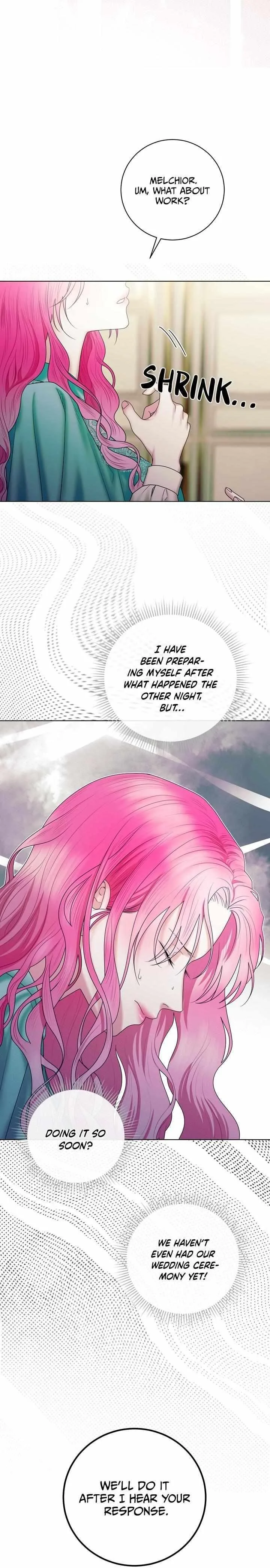 Marriage Contract With Two Husbands Chapter 17 page 13