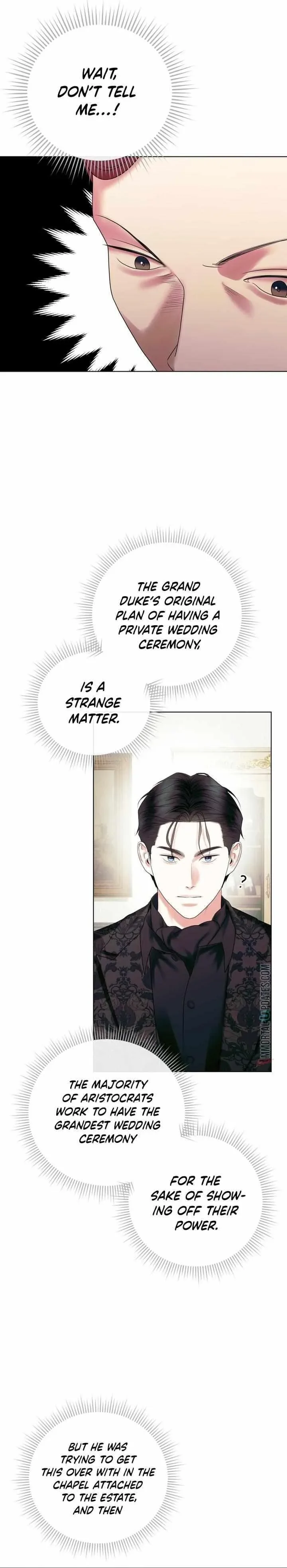 Marriage Contract With Two Husbands Chapter 18 page 26