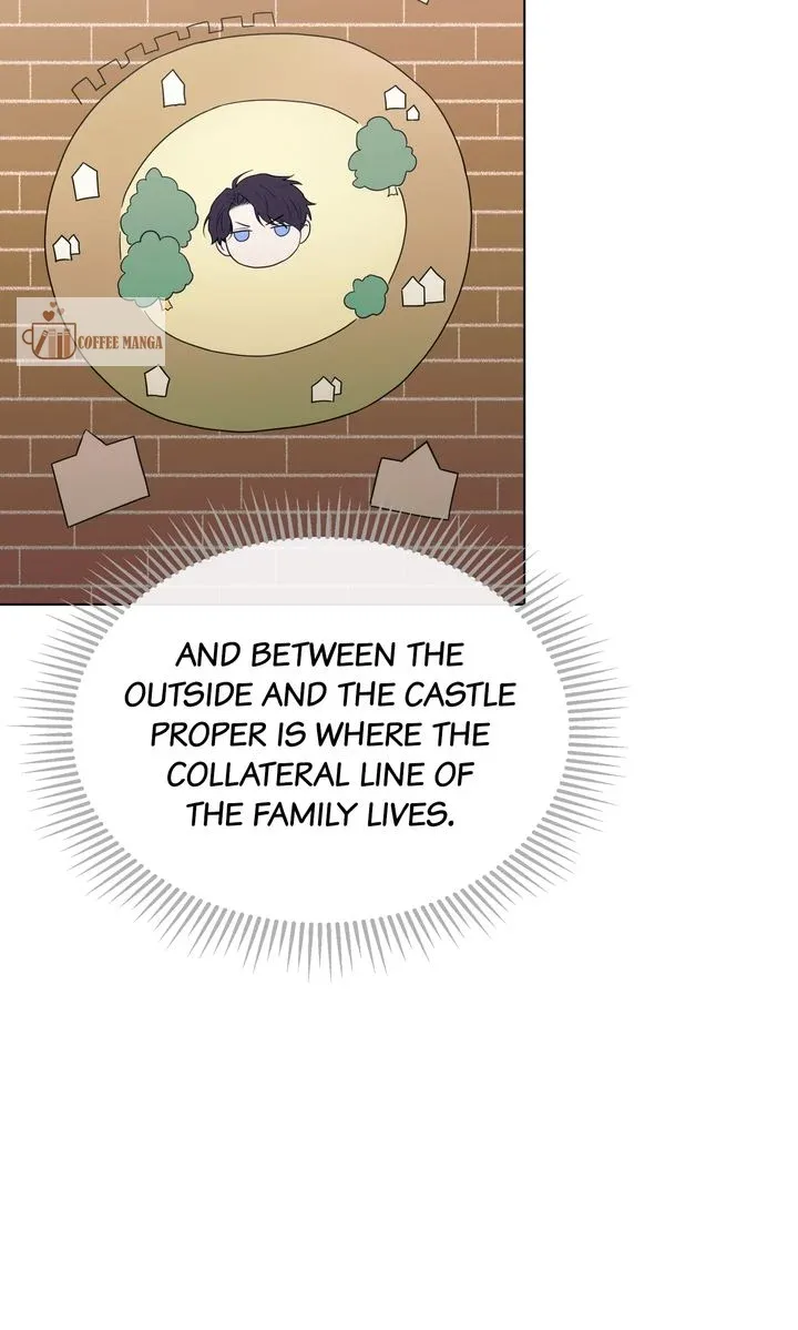 Marriage Contract With Two Husbands Chapter 35 page 80