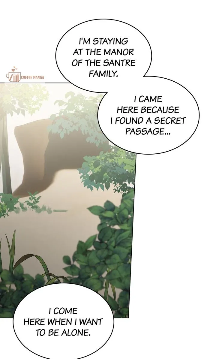 Marriage Contract With Two Husbands Chapter 36 page 12