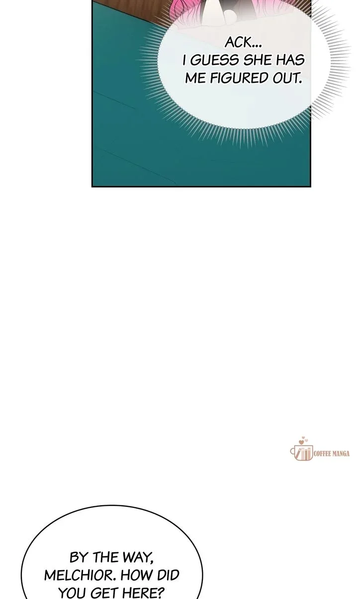 Marriage Contract With Two Husbands Chapter 32 page 95