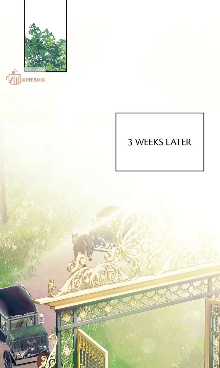 Marriage Contract With Two Husbands Chapter 37 page 48