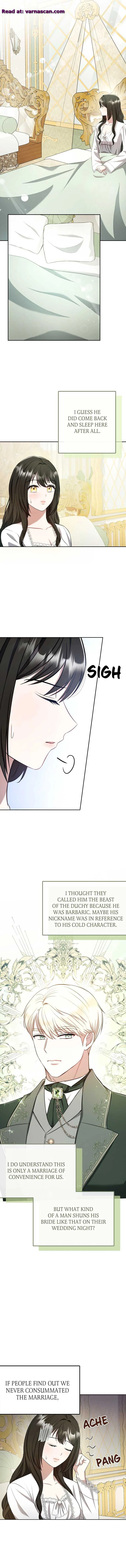 Marriage of Convenience to an Obsession Chapter 15 page 4