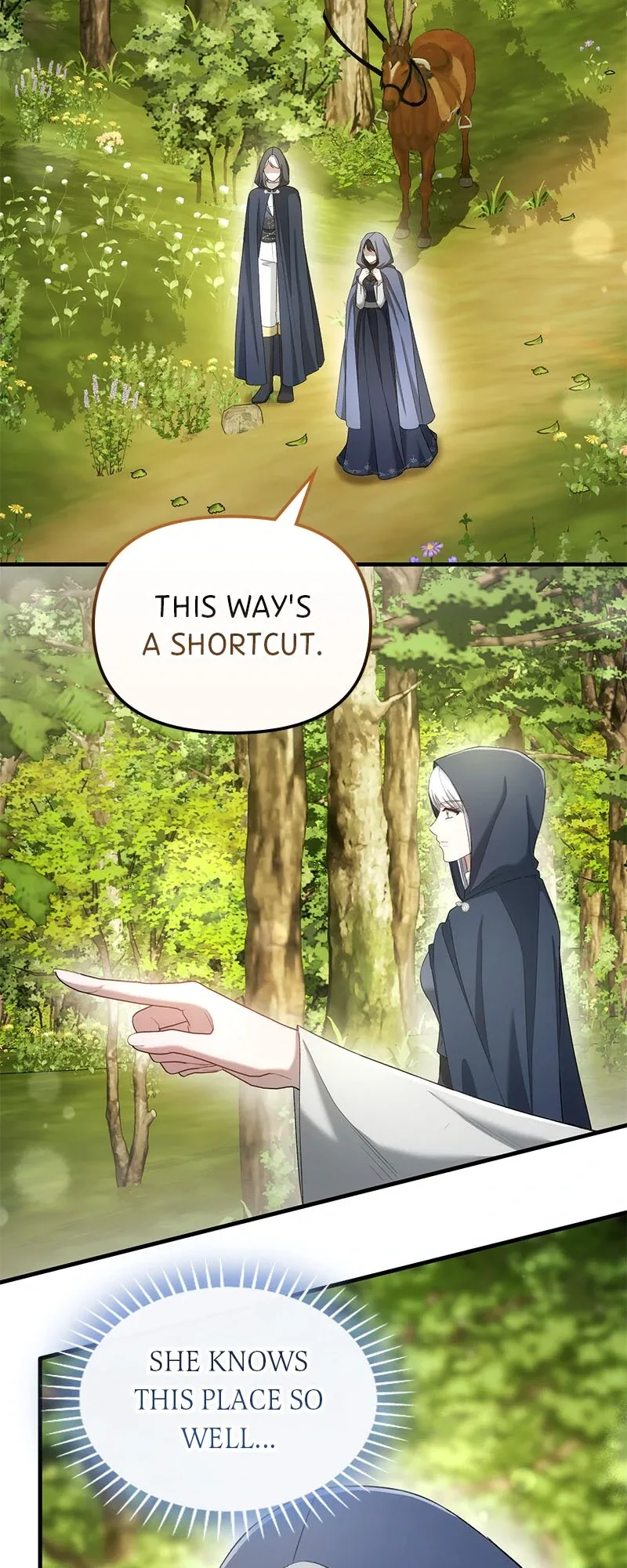 Marriage of Convenience to an Obsession Chapter 44 page 17