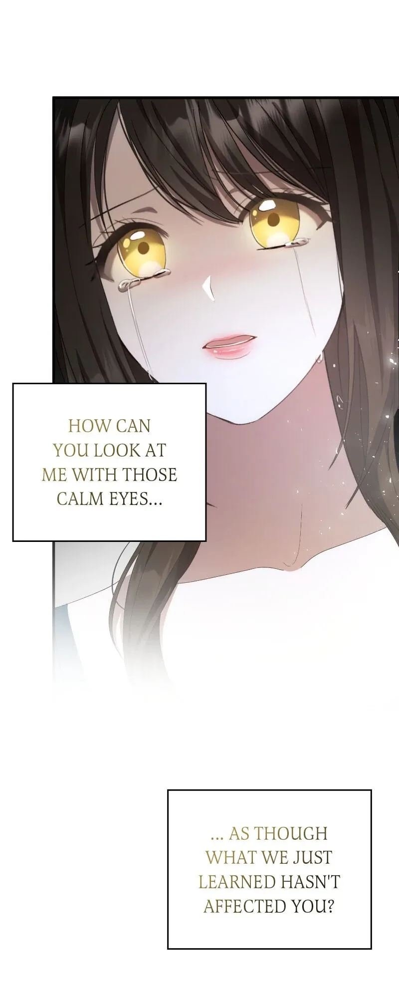 Marriage of Convenience to an Obsession Chapter 49 page 15