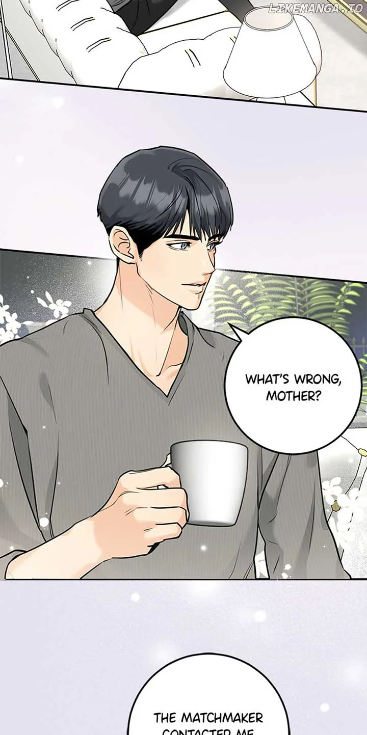 Marriage Situation Chapter 7 page 5