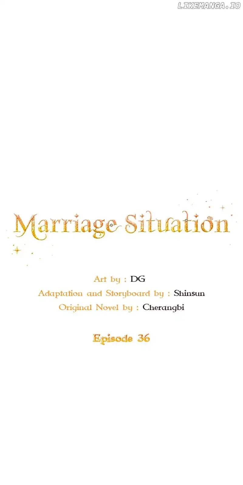 Marriage Situation Chapter 36 page 12