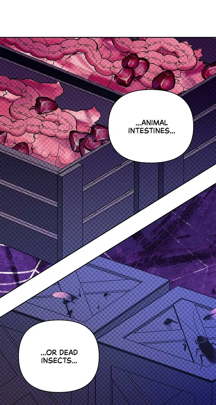 Marriage with the Archduke, I Know Now Chapter 55 page 78