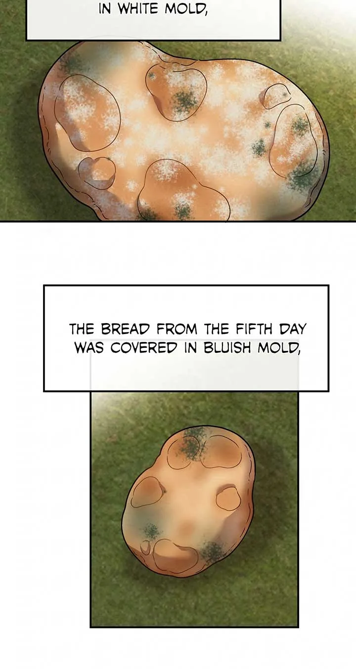 Mesopotamian Mythology of Hongkki Chapter 47 page 16