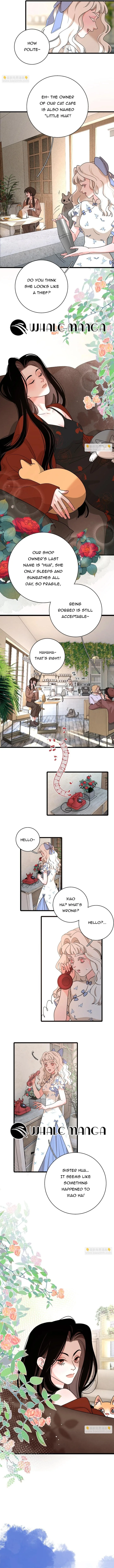 Miss Hua Doesn’t Want To Fall In Love Chapter 2 page 5